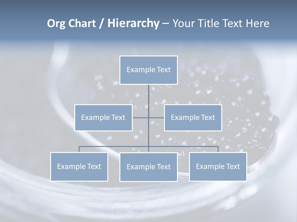 Caviar Close Up PowerPoint Template