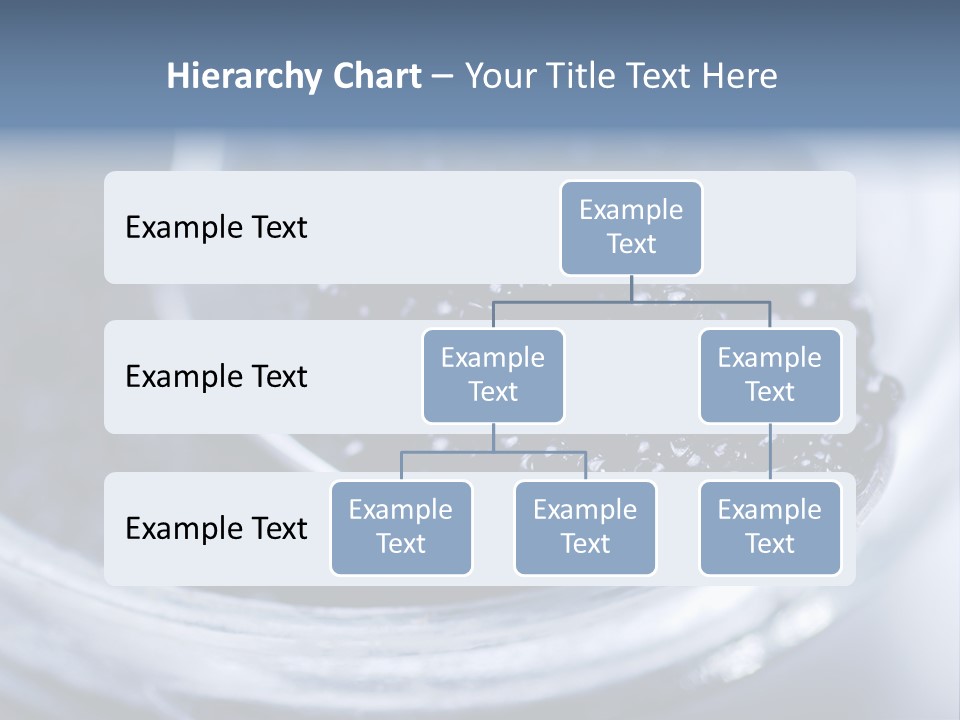 Caviar Close Up PowerPoint Template