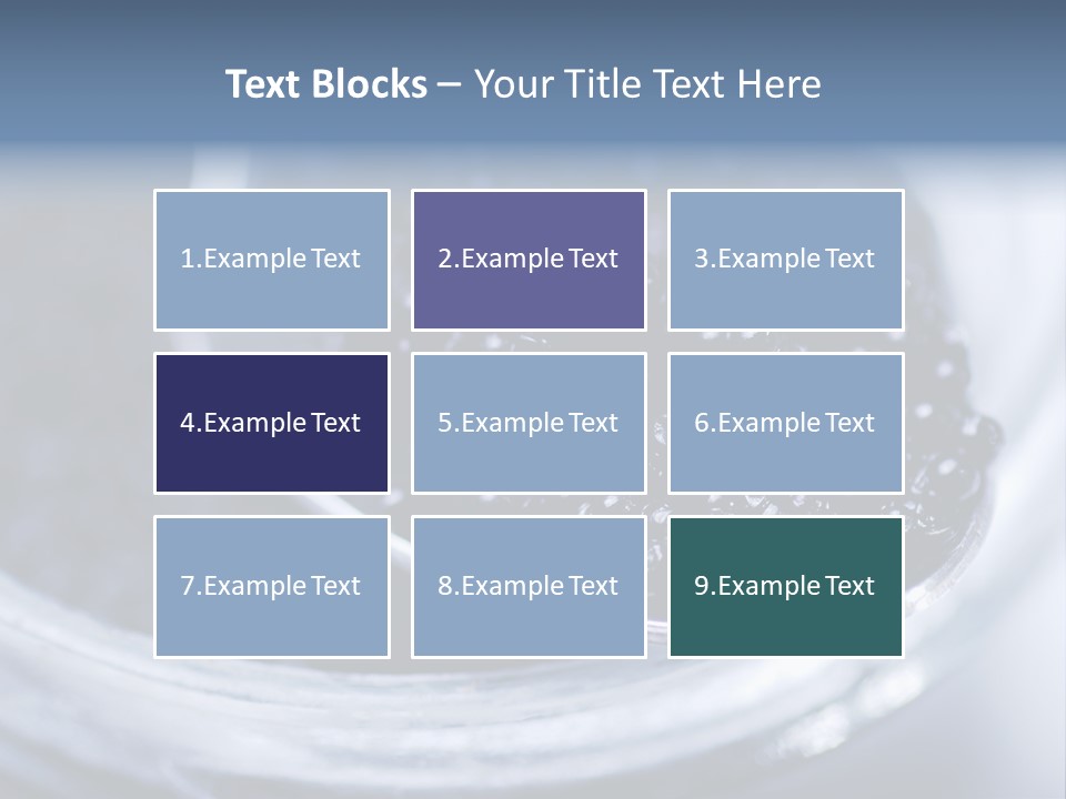 Caviar Close Up PowerPoint Template