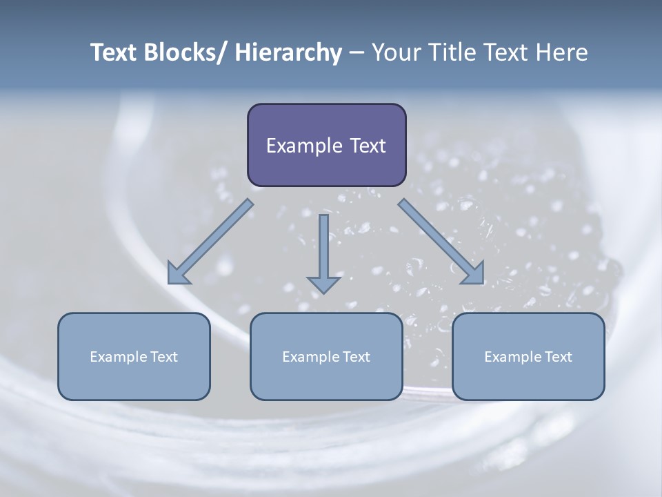 Caviar Close Up PowerPoint Template