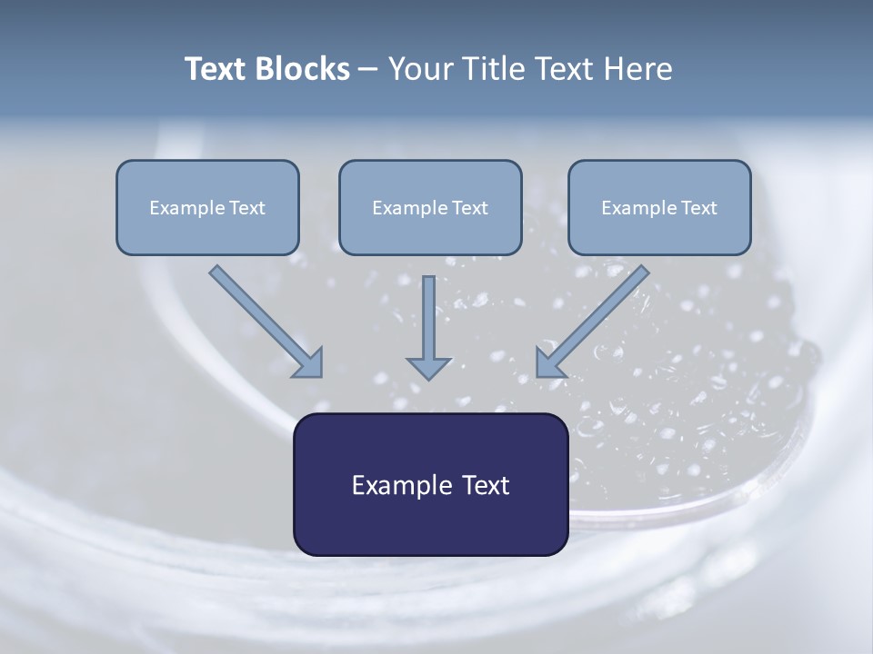 Caviar Close Up PowerPoint Template