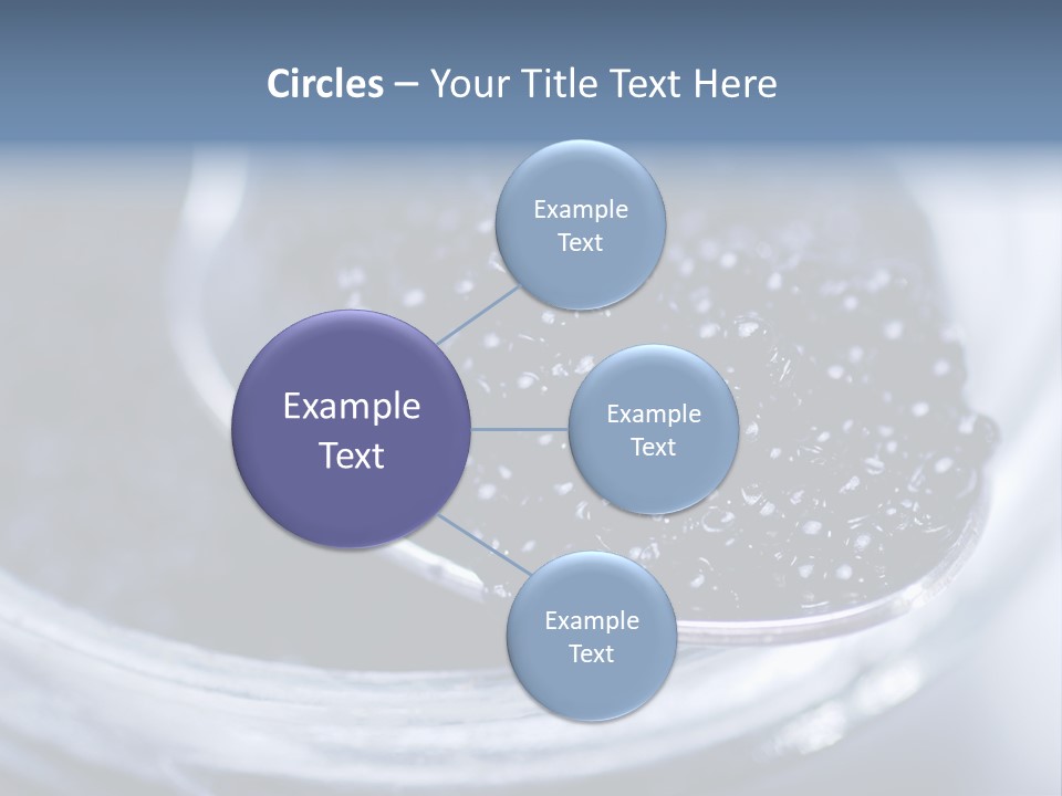 Caviar Close Up PowerPoint Template