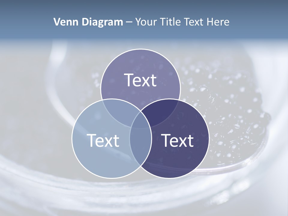 Caviar Close Up PowerPoint Template