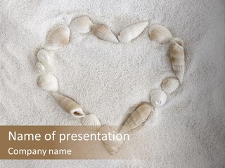 Seashells In The Sand PowerPoint Template