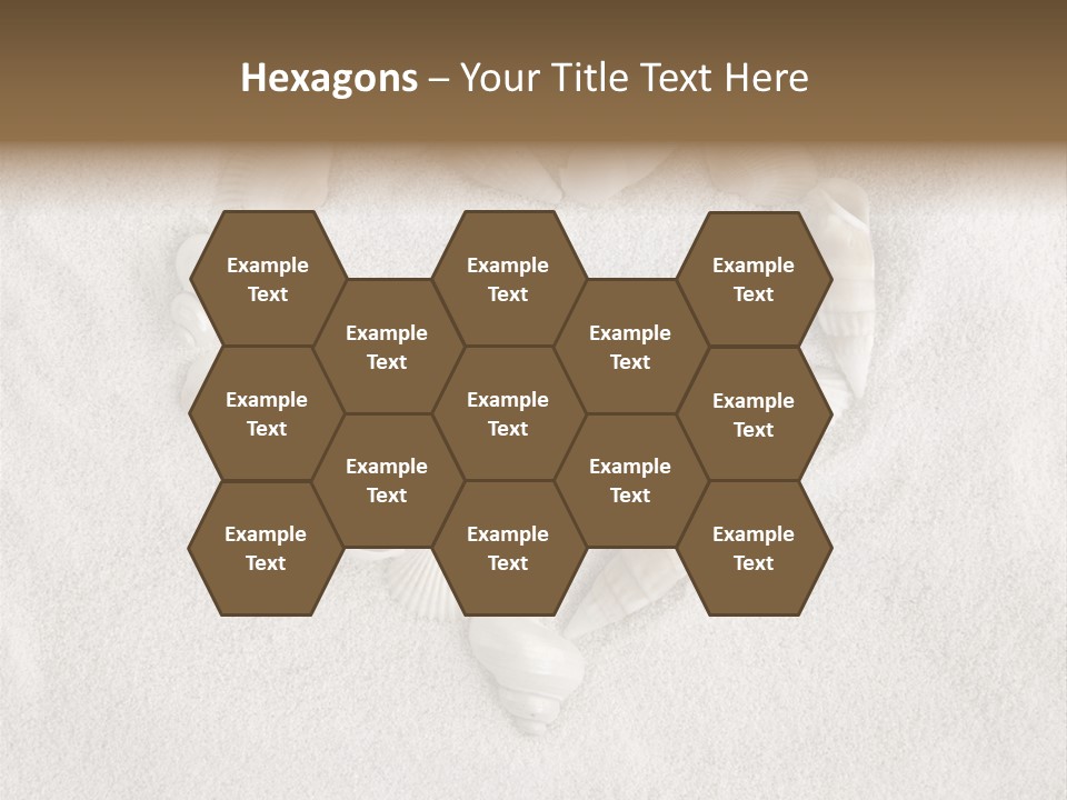 Seashells In The Sand PowerPoint Template