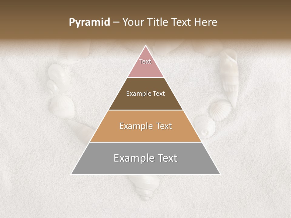 Seashells In The Sand PowerPoint Template