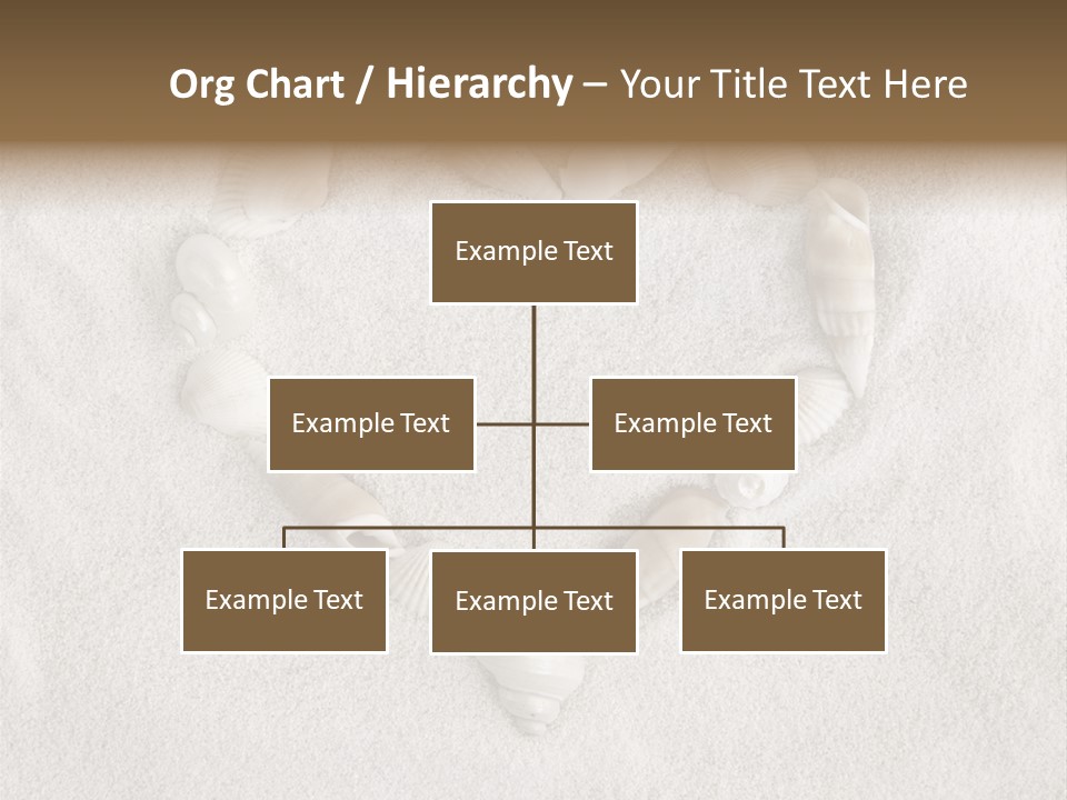 Seashells In The Sand PowerPoint Template