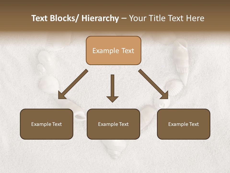 Seashells In The Sand PowerPoint Template