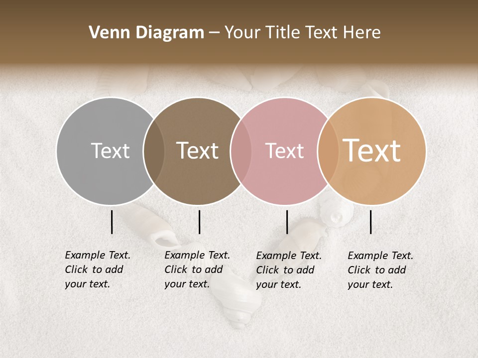 Seashells In The Sand PowerPoint Template