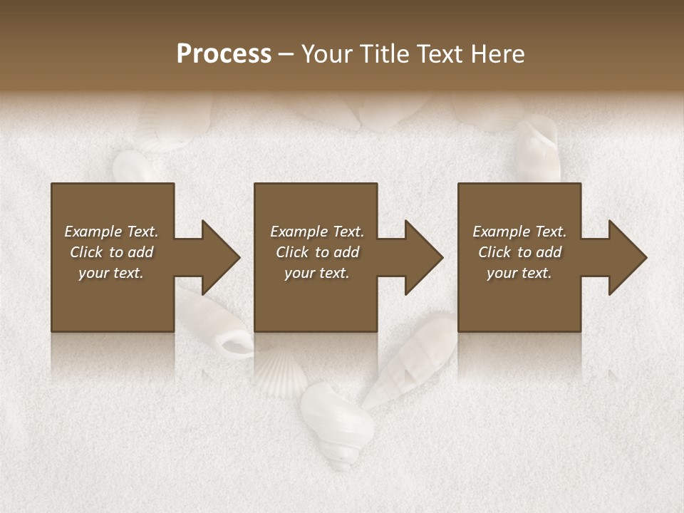 Seashells In The Sand PowerPoint Template