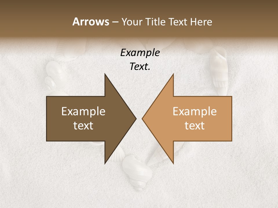 Seashells In The Sand PowerPoint Template