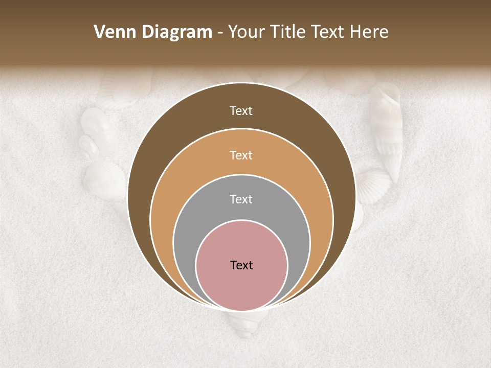 Seashells In The Sand PowerPoint Template