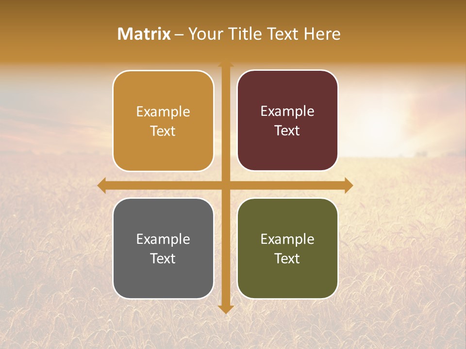 Wheat Growth Horizon PowerPoint Template