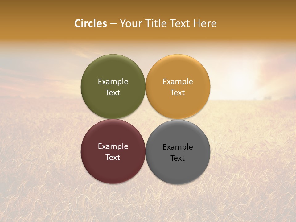 Wheat Growth Horizon PowerPoint Template