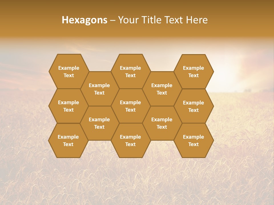 Wheat Growth Horizon PowerPoint Template