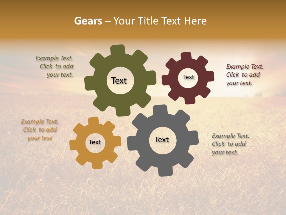 Wheat Growth Horizon PowerPoint Template