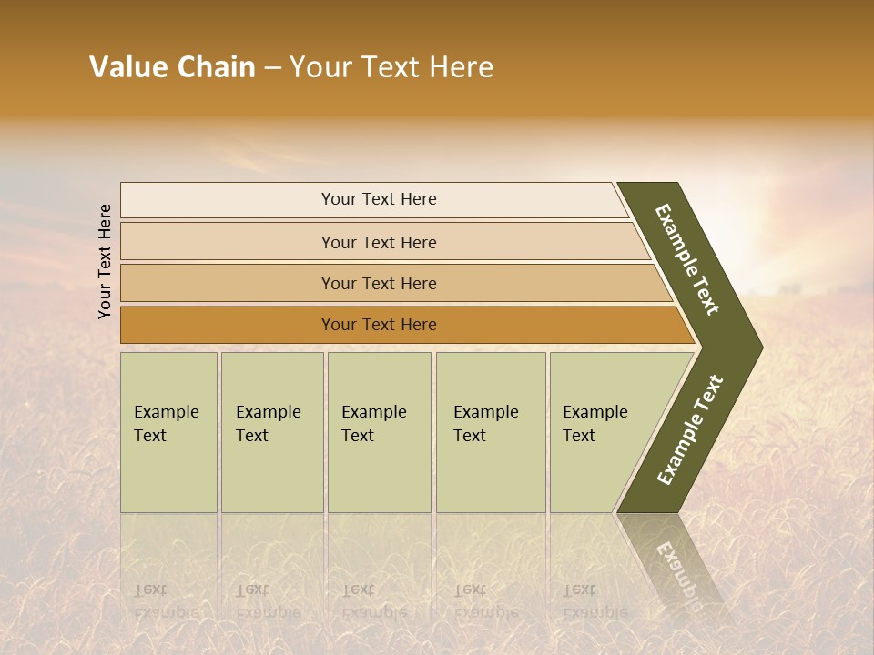 Wheat Growth Horizon PowerPoint Template