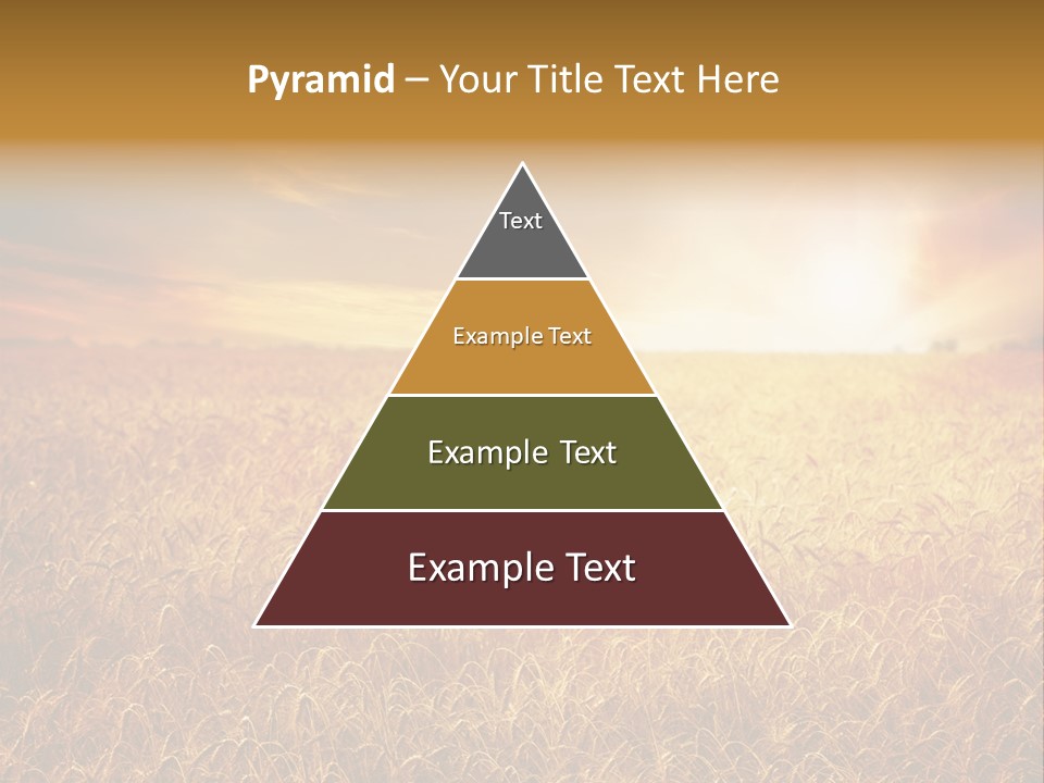 Wheat Growth Horizon PowerPoint Template