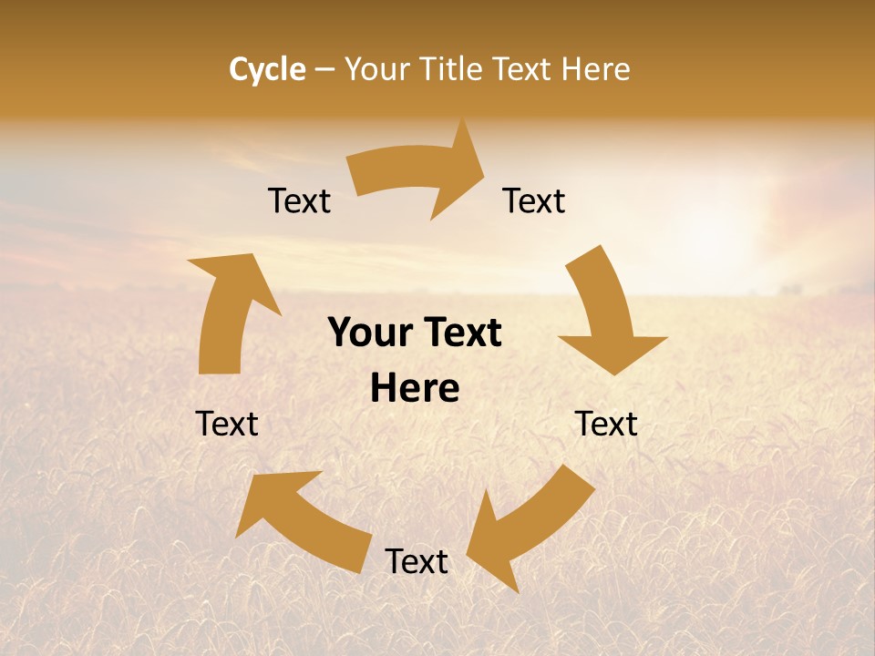 Wheat Growth Horizon PowerPoint Template