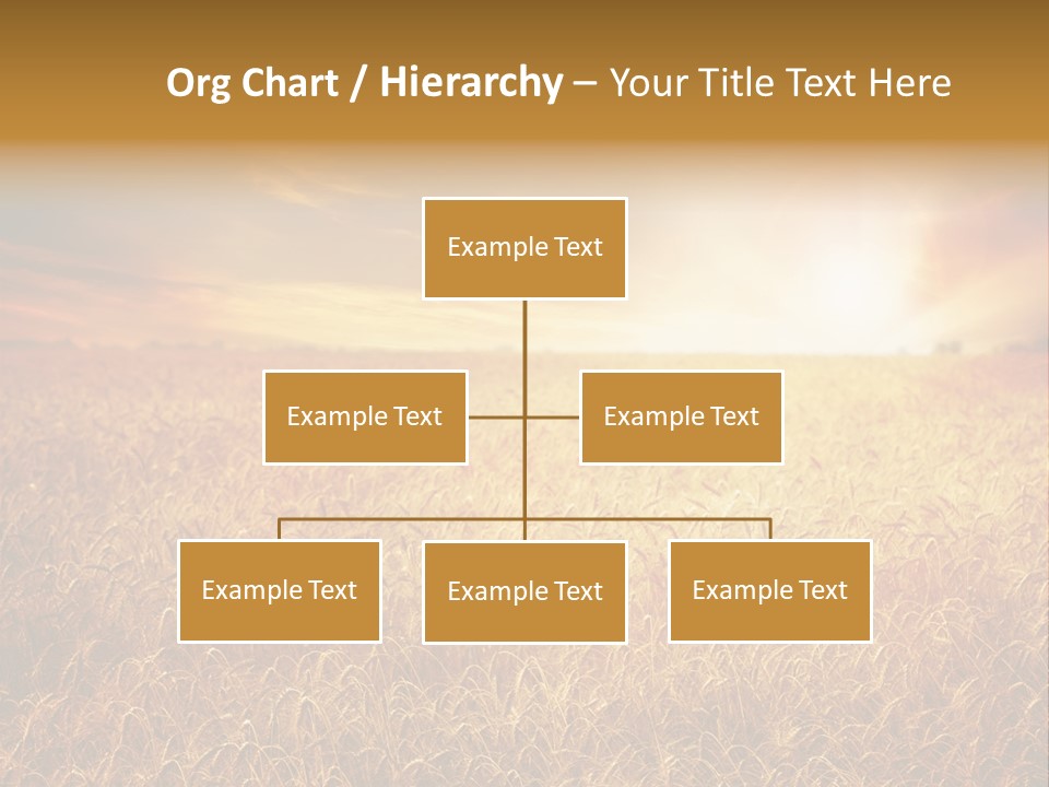 Wheat Growth Horizon PowerPoint Template