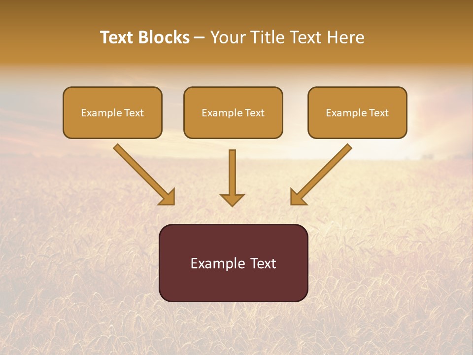 Wheat Growth Horizon PowerPoint Template