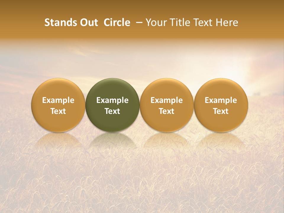 Wheat Growth Horizon PowerPoint Template