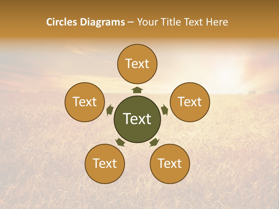 Wheat Growth Horizon PowerPoint Template