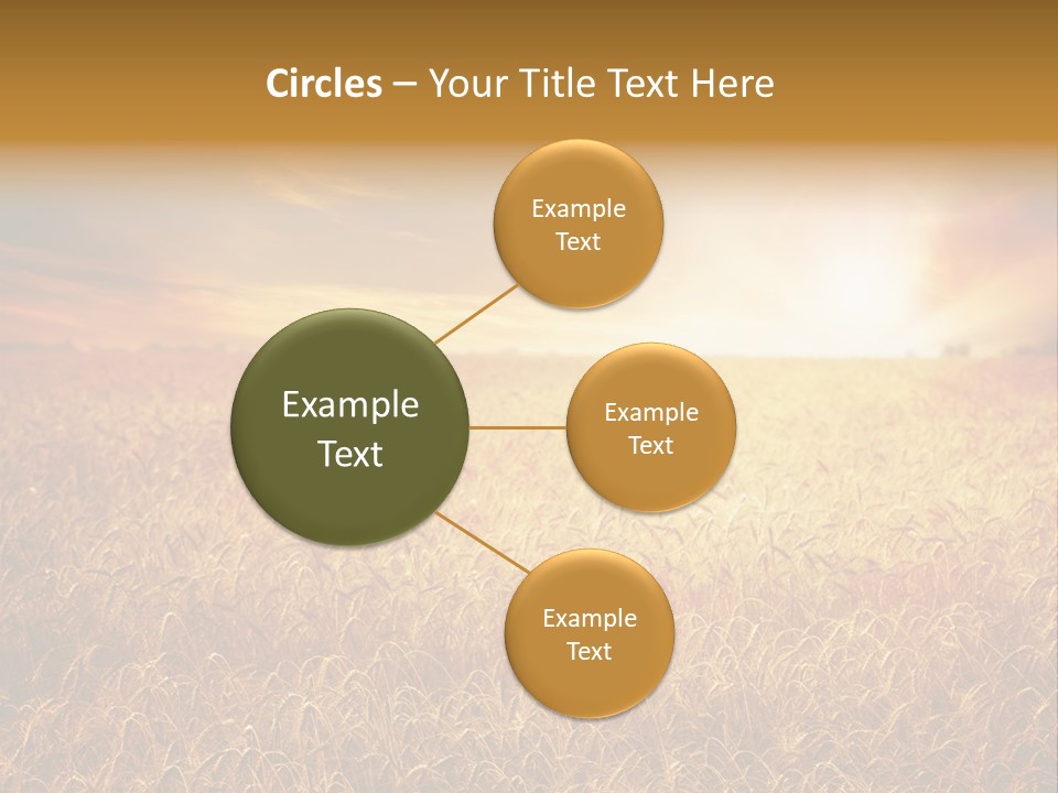 Wheat Growth Horizon PowerPoint Template