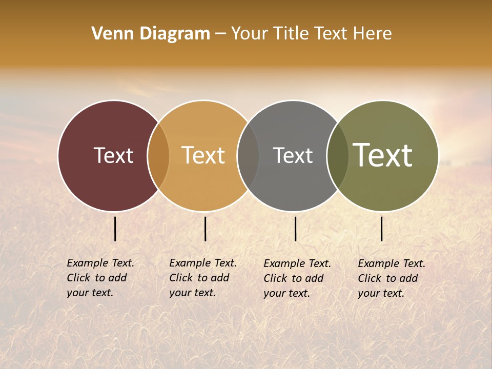 Wheat Growth Horizon PowerPoint Template