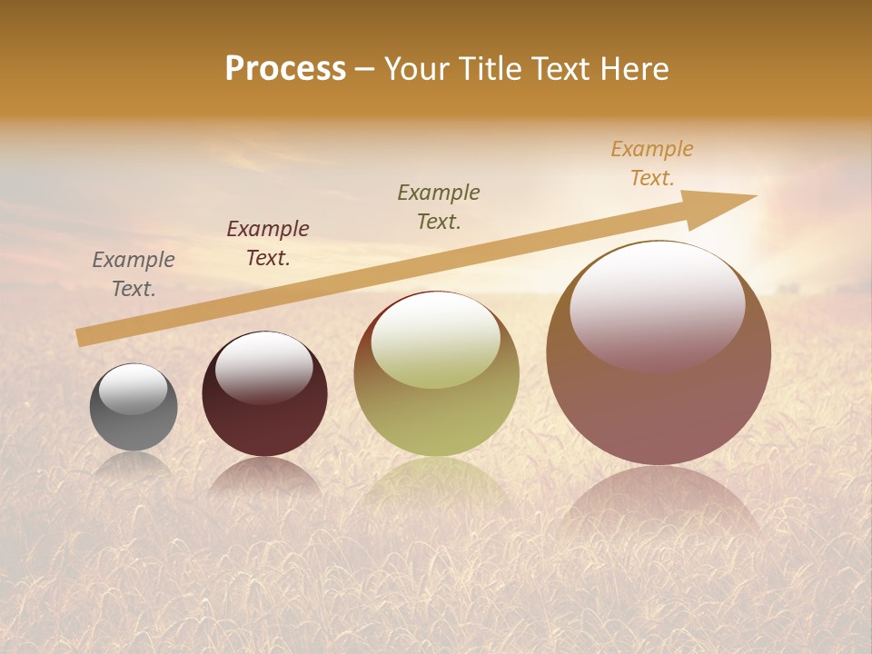 Wheat Growth Horizon PowerPoint Template