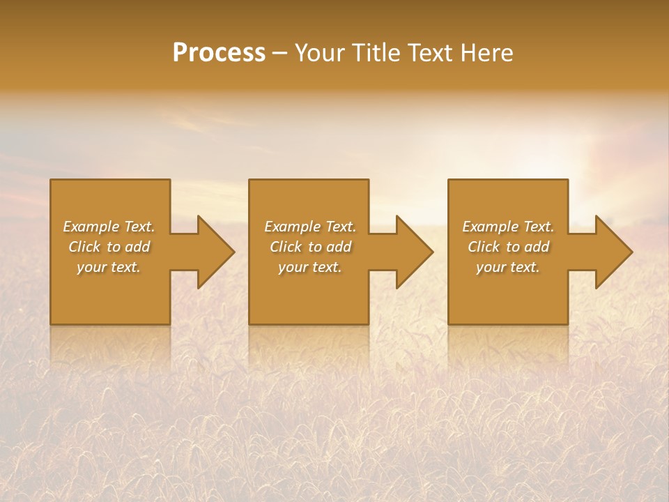 Wheat Growth Horizon PowerPoint Template