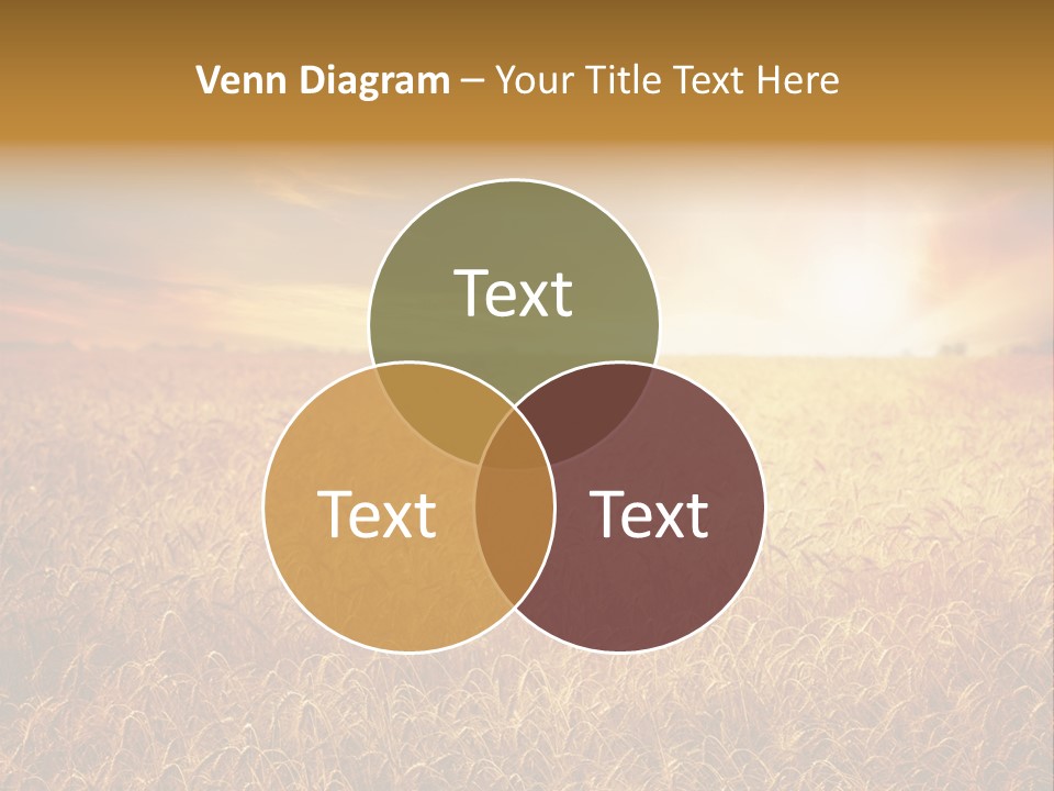 Wheat Growth Horizon PowerPoint Template