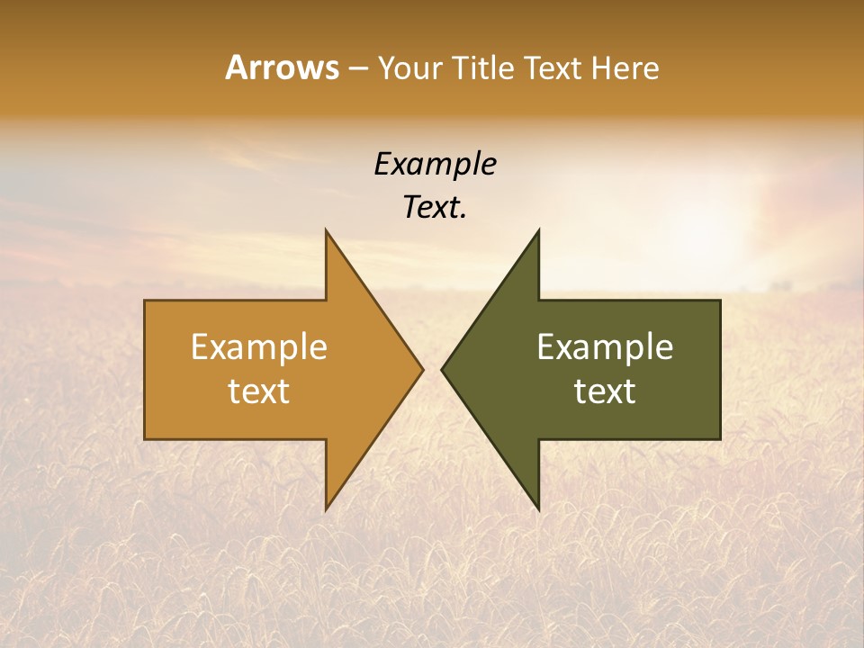 Wheat Growth Horizon PowerPoint Template