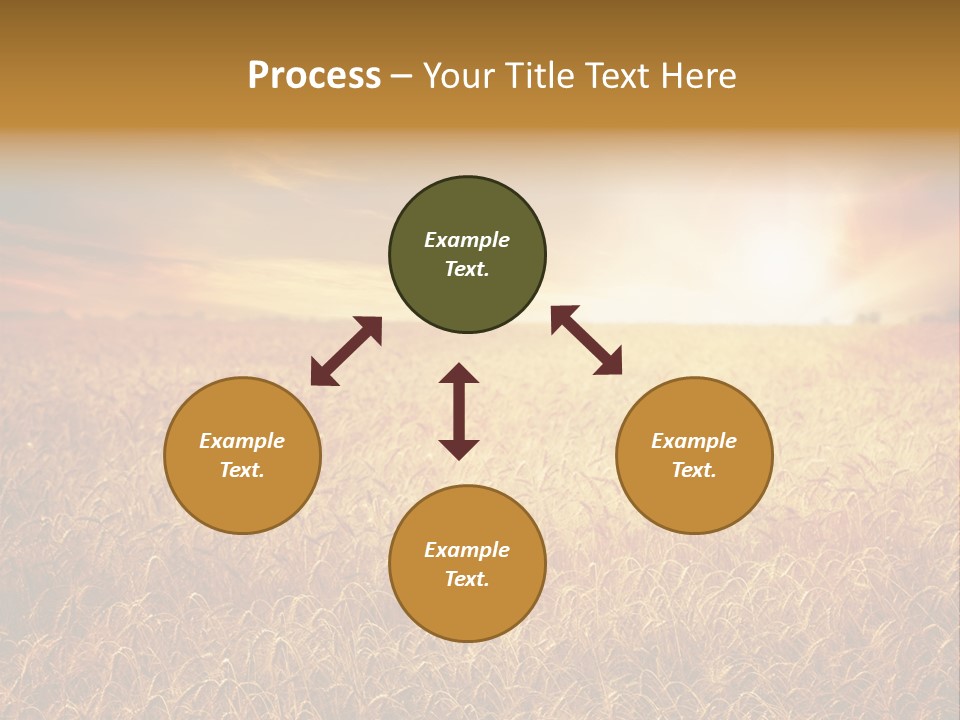 Wheat Growth Horizon PowerPoint Template