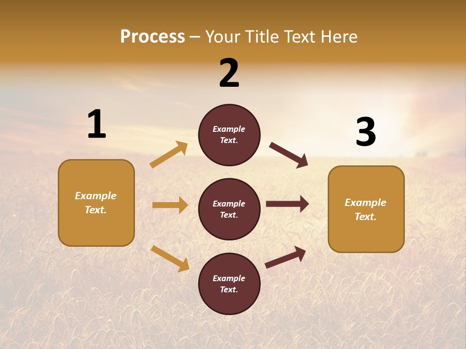 Wheat Growth Horizon PowerPoint Template