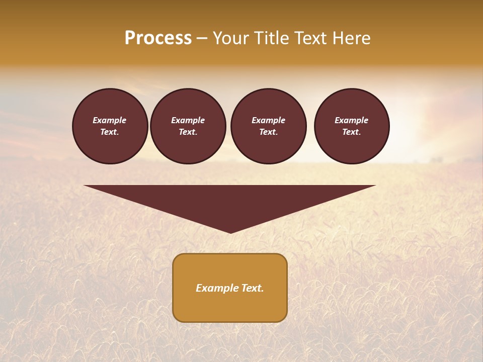 Wheat Growth Horizon PowerPoint Template