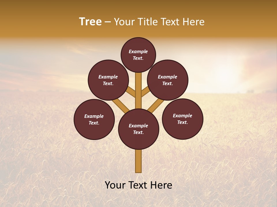 Wheat Growth Horizon PowerPoint Template