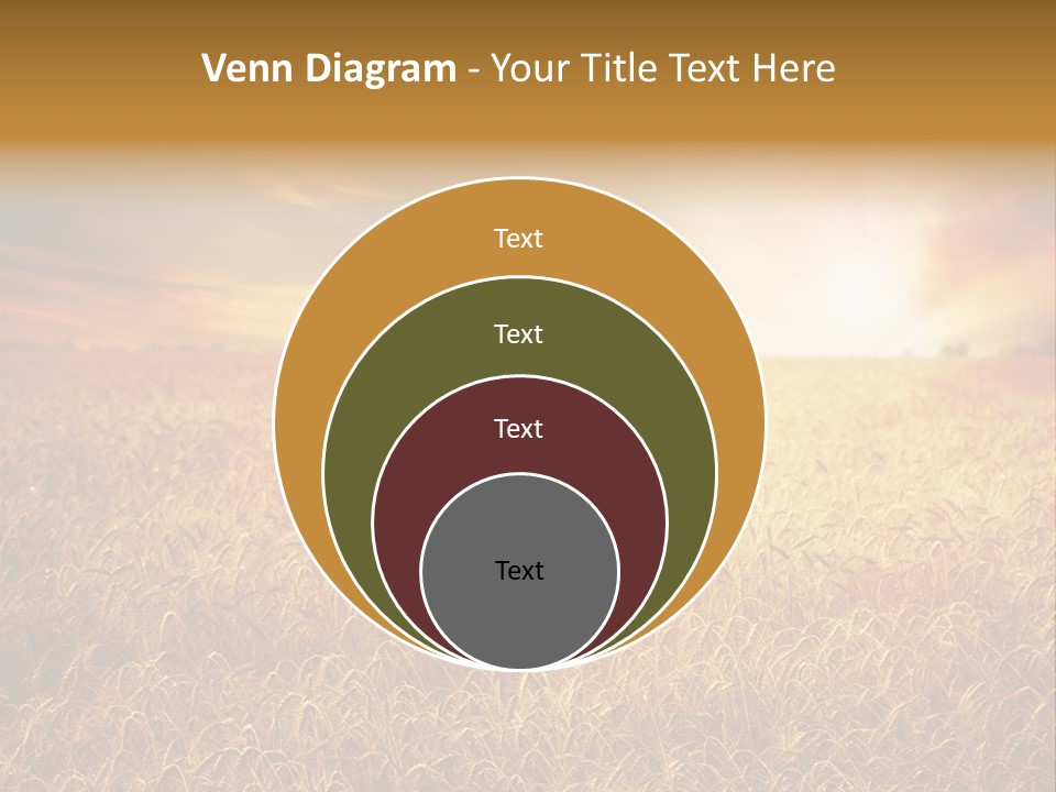 Wheat Growth Horizon PowerPoint Template