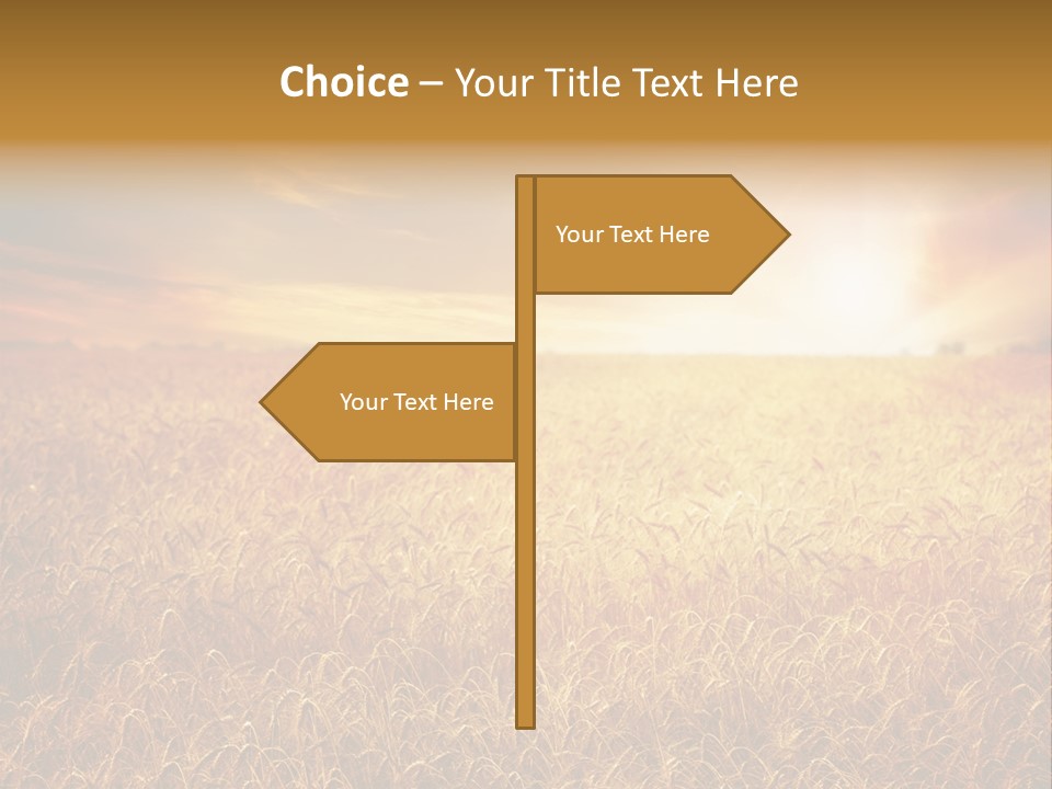 Wheat Growth Horizon PowerPoint Template
