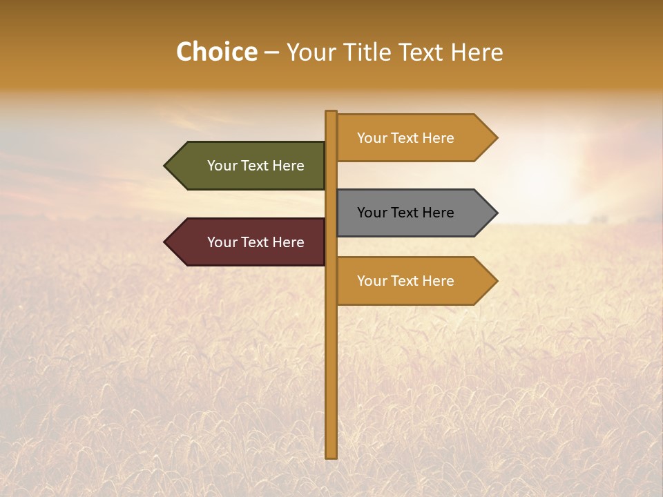 Wheat Growth Horizon PowerPoint Template