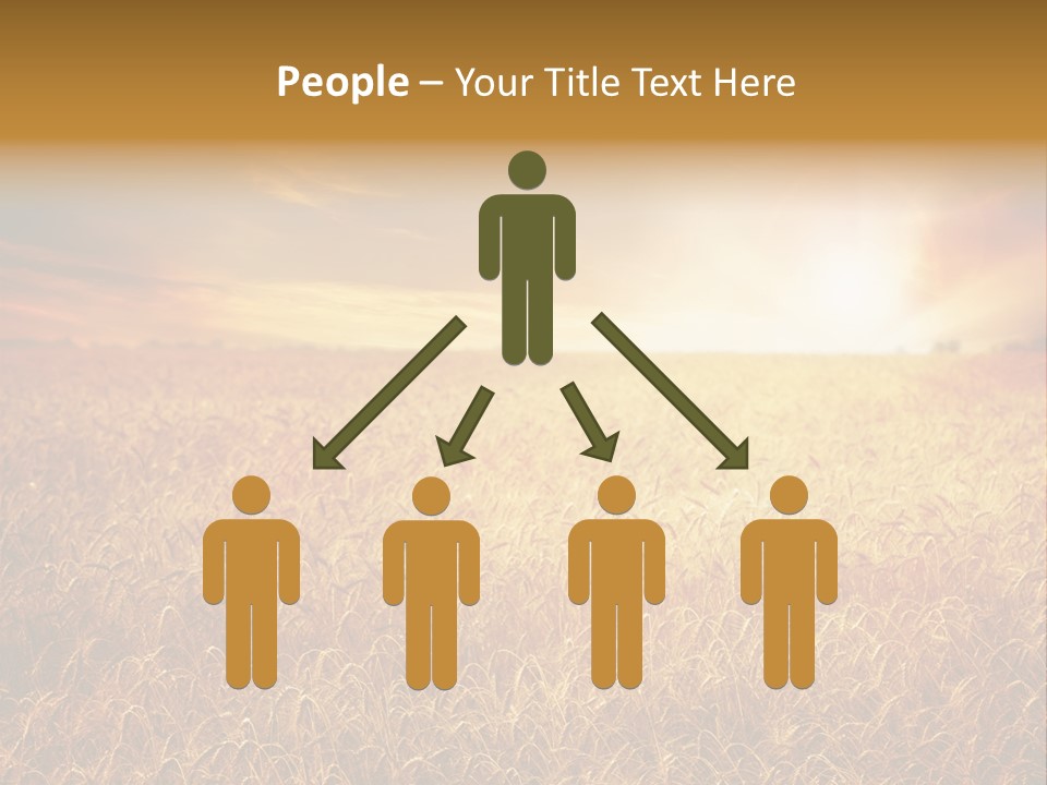 Wheat Growth Horizon PowerPoint Template