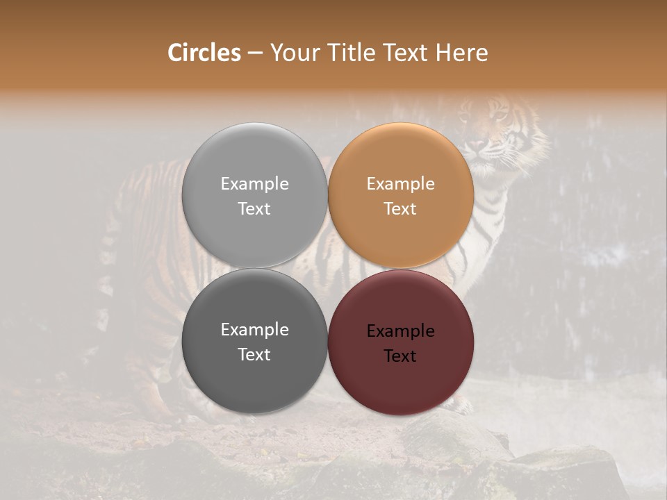 Striped Tiger PowerPoint Template