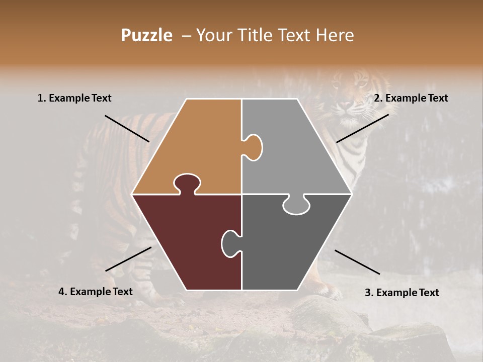 Striped Tiger PowerPoint Template