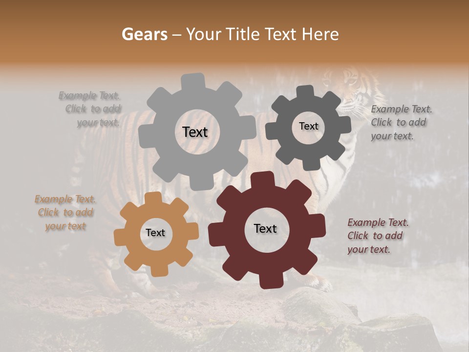 Striped Tiger PowerPoint Template