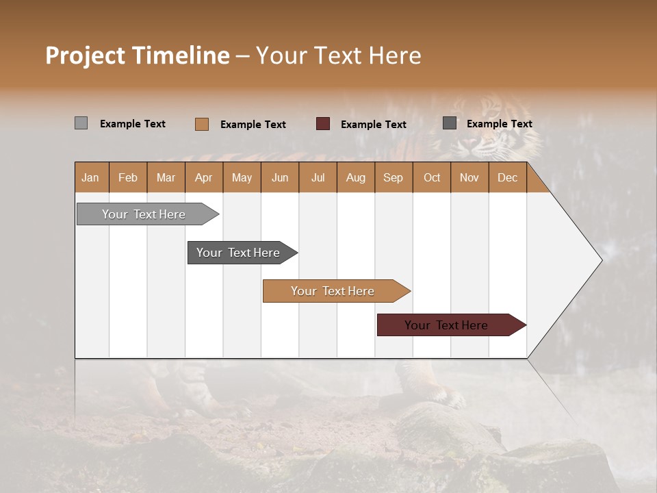 Striped Tiger PowerPoint Template