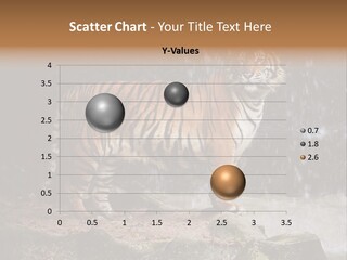 Striped Tiger PowerPoint Template