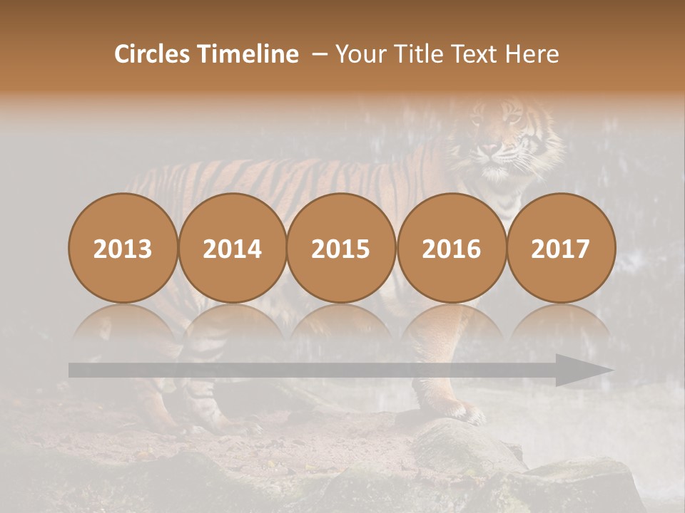 Striped Tiger PowerPoint Template