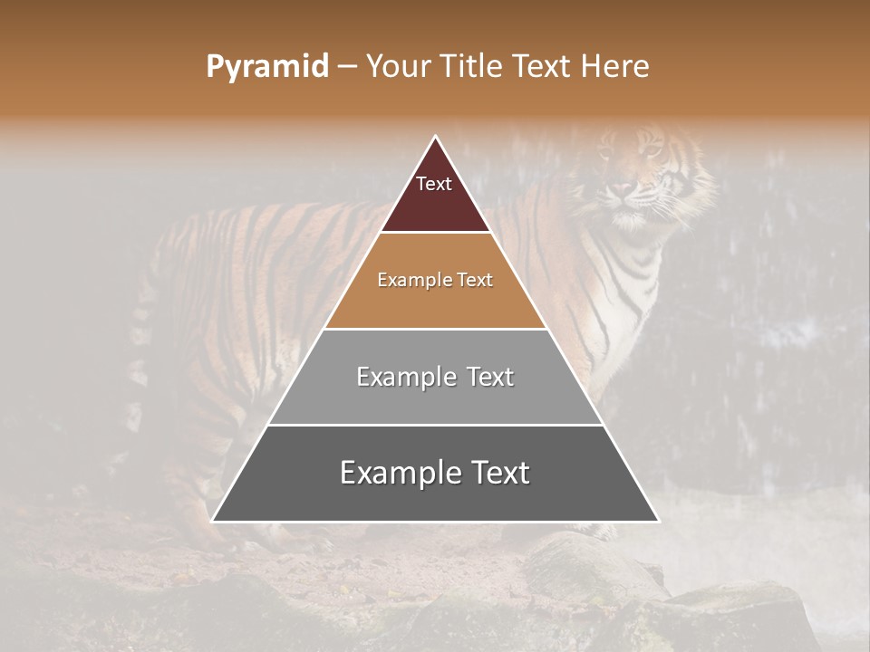 Striped Tiger PowerPoint Template