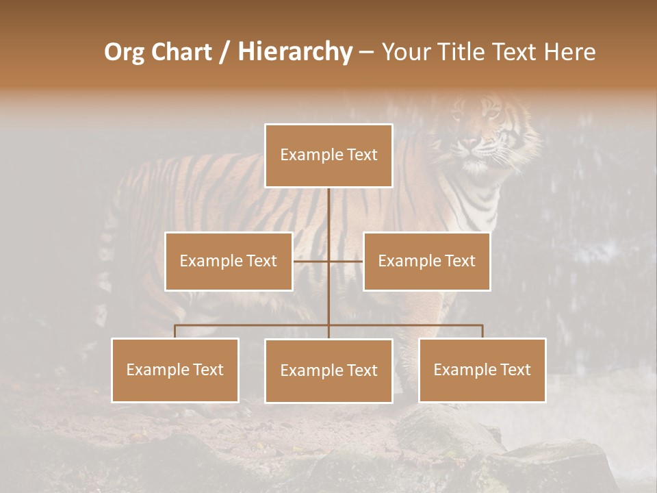 Striped Tiger PowerPoint Template