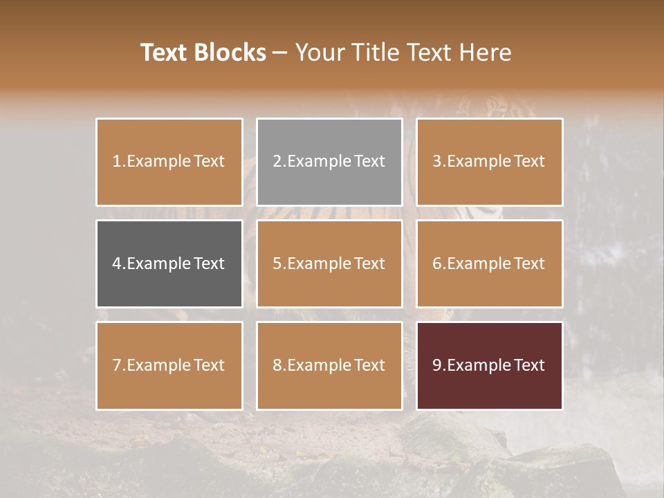 Striped Tiger PowerPoint Template